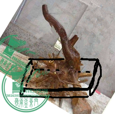 1.png