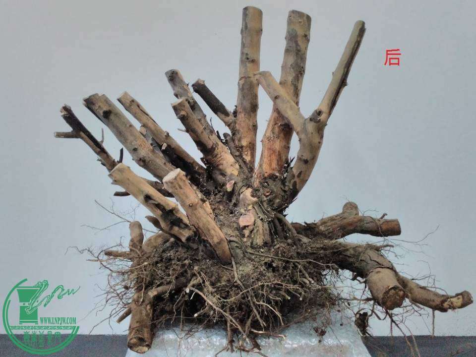 141402ettq4nay2rv2naay.jpg.thumb.jpg