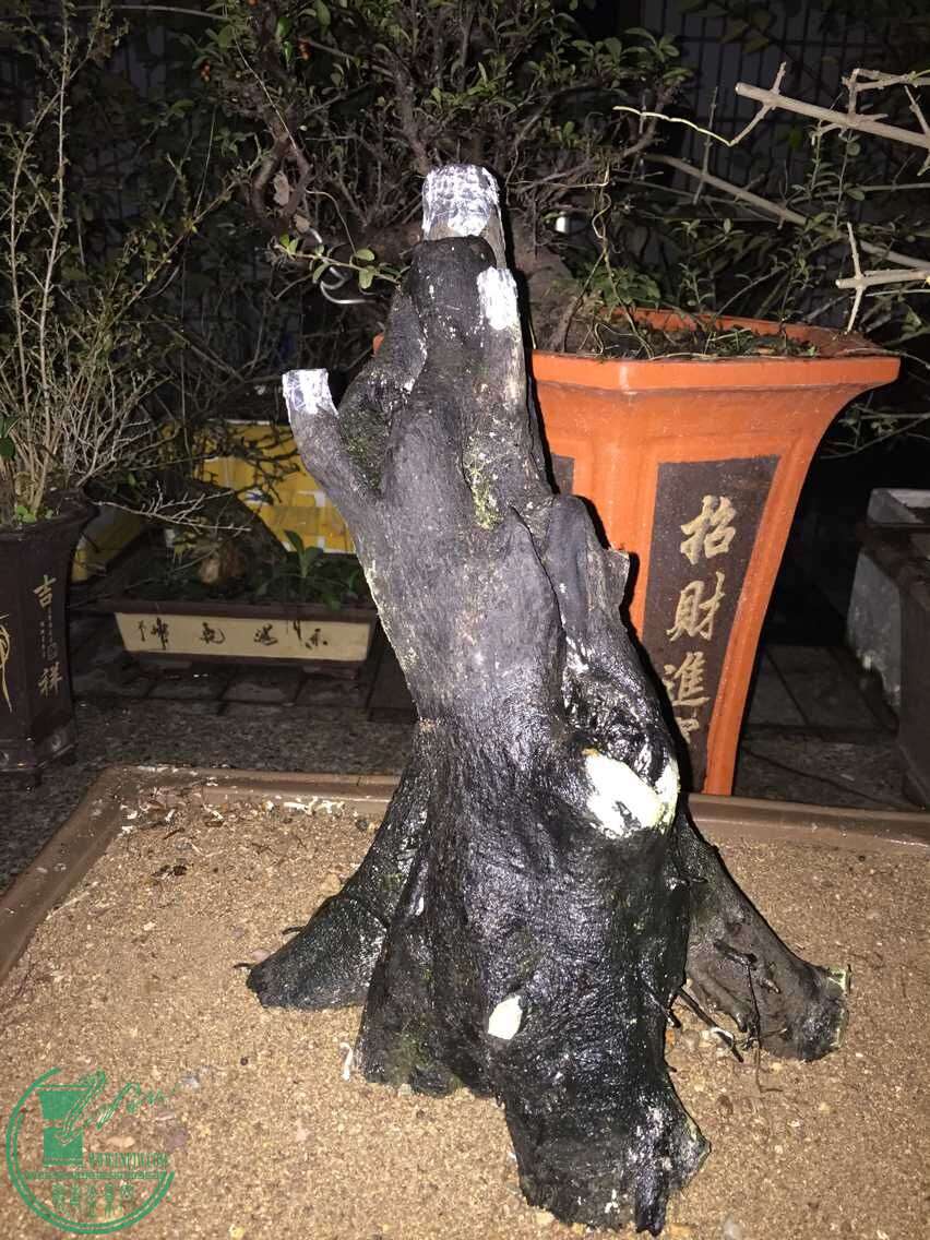 QQͼƬ20151214190128.jpg