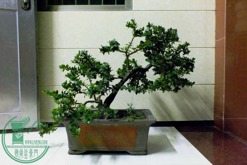 DSCF2538.JPG