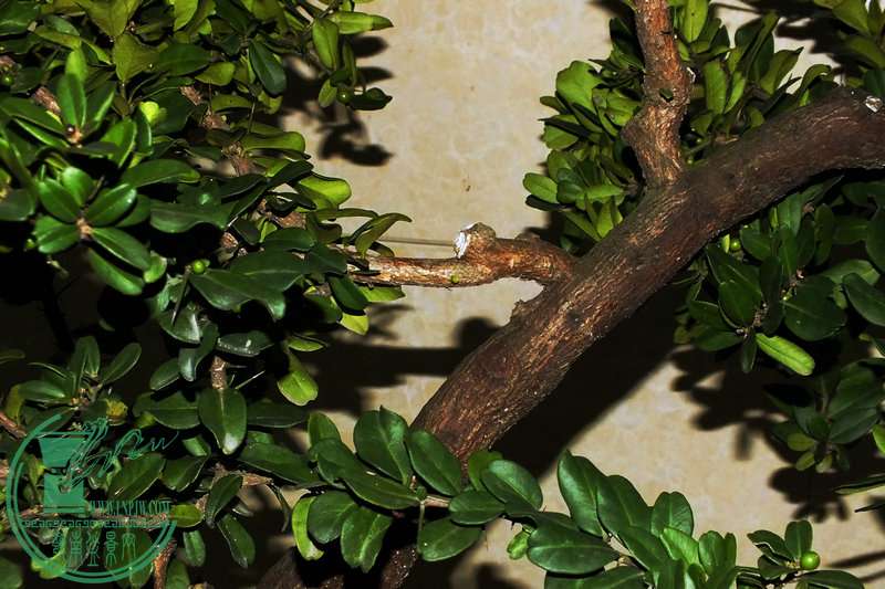 DSCF2542.JPG