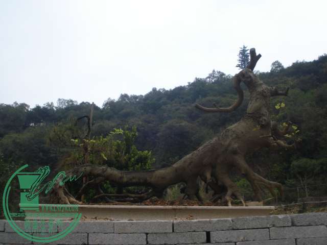 DSC01608.JPG