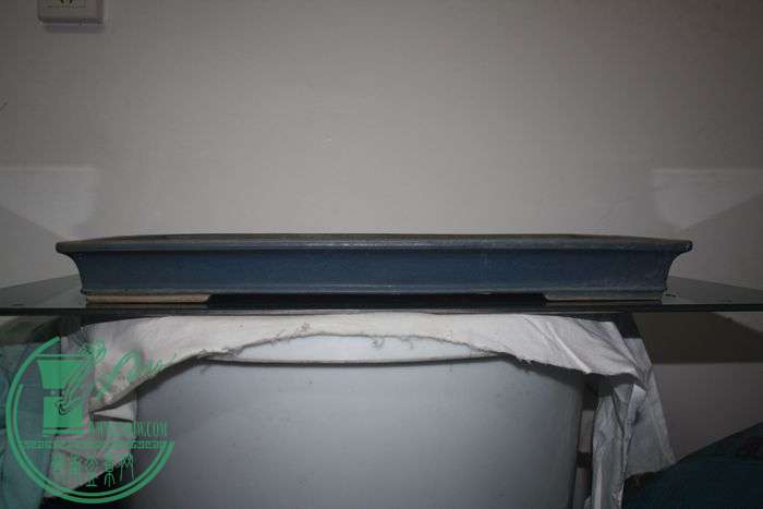 Ƭ20131026ۺ 391.jpg