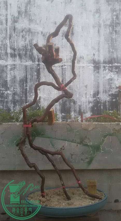 1_.jpg