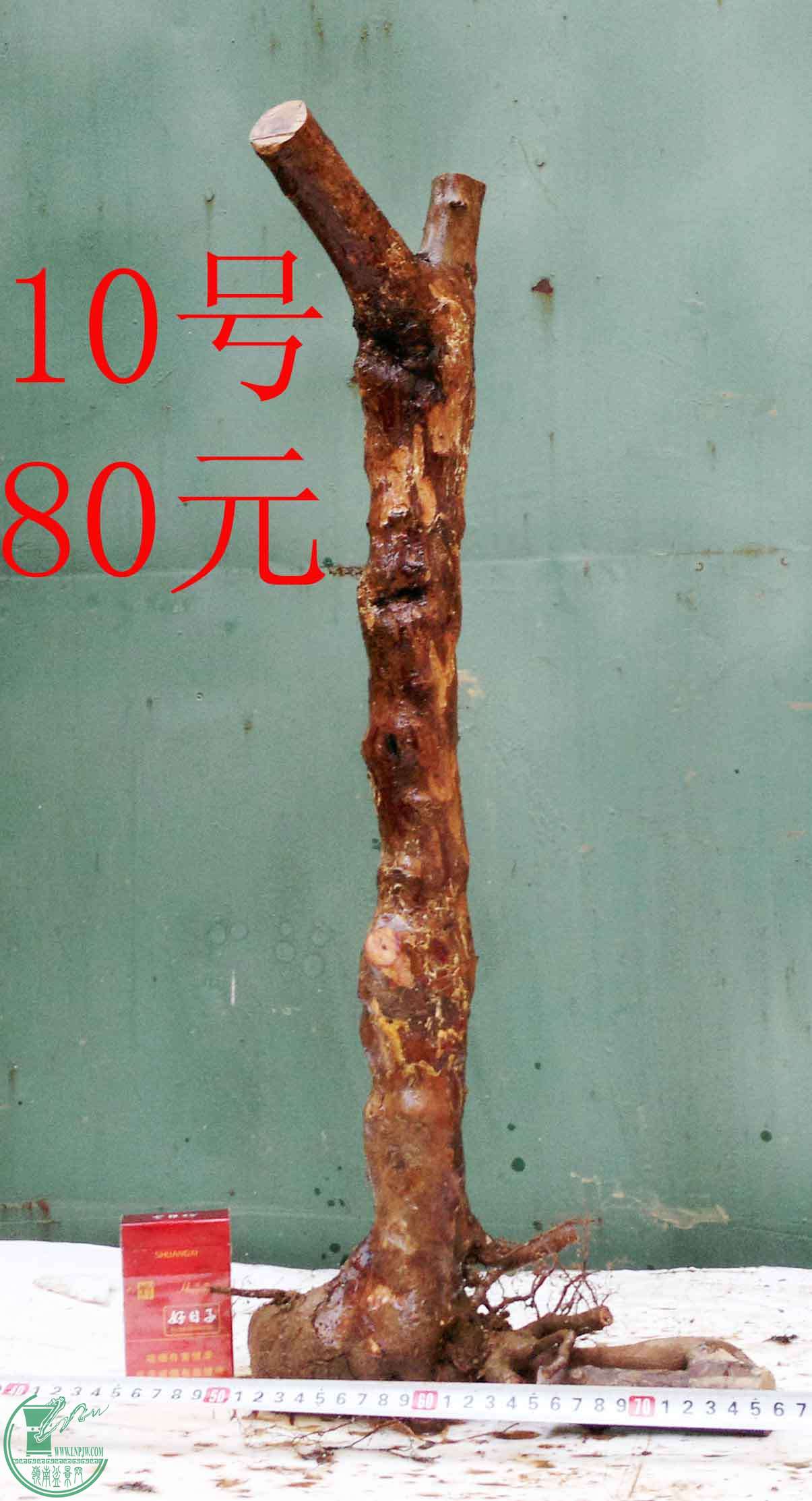 201512185875.jpg