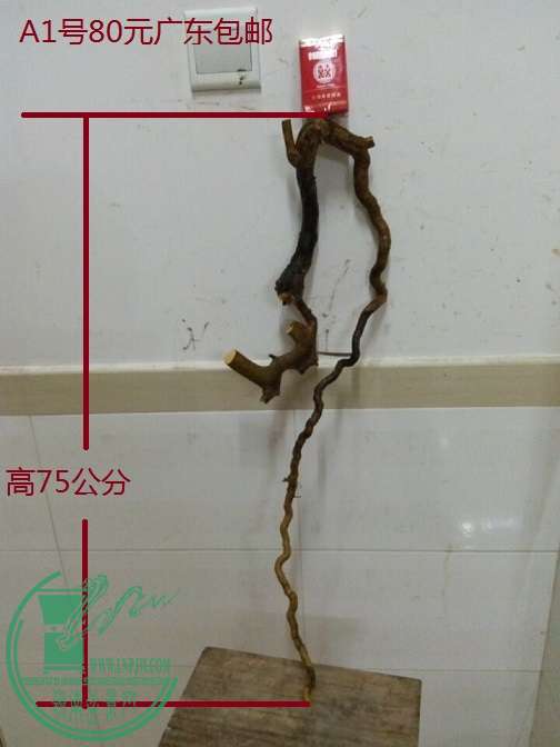 QQͼƬ20151219201456.jpg