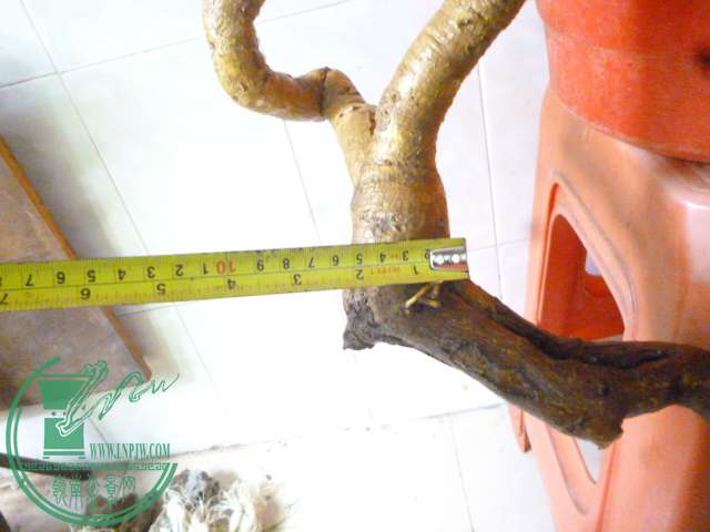 P1150514.JPG