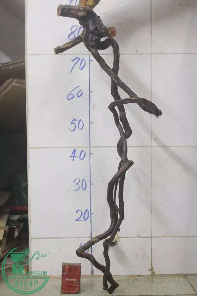 psb (3).jpg