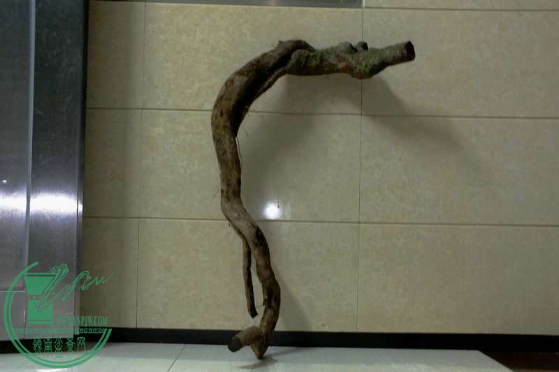 DSCF2586.JPG