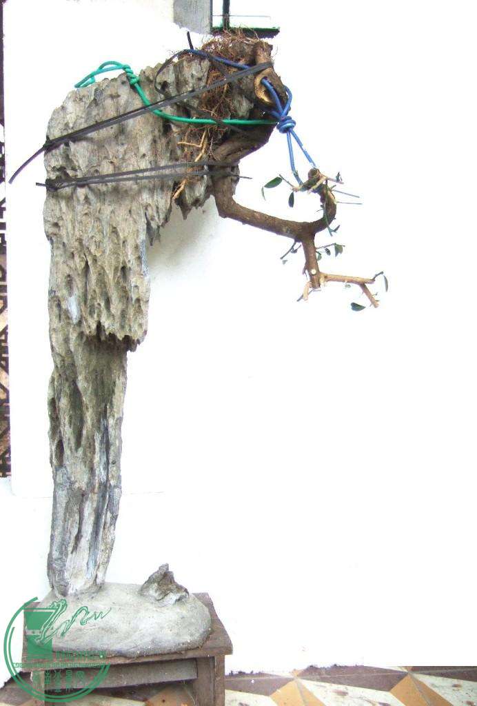 DSCF6460.JPG