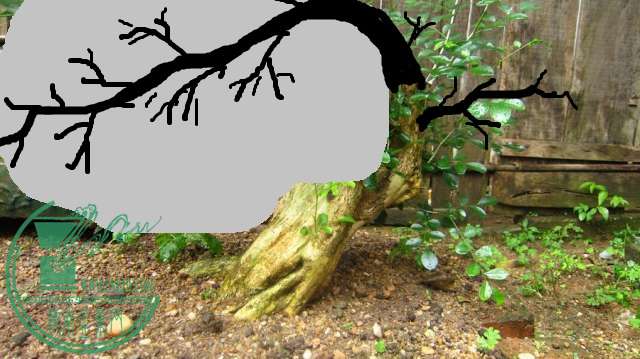 005044akl0c0qee4muclcy.jpg.thumb.jpg