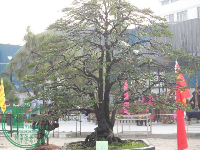  216.jpg
