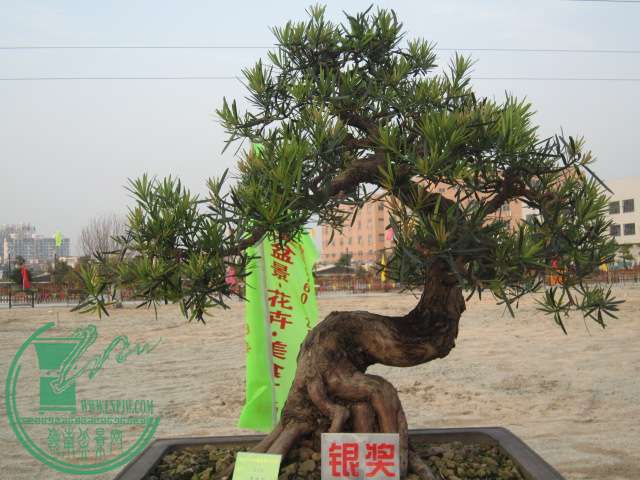  307.jpg