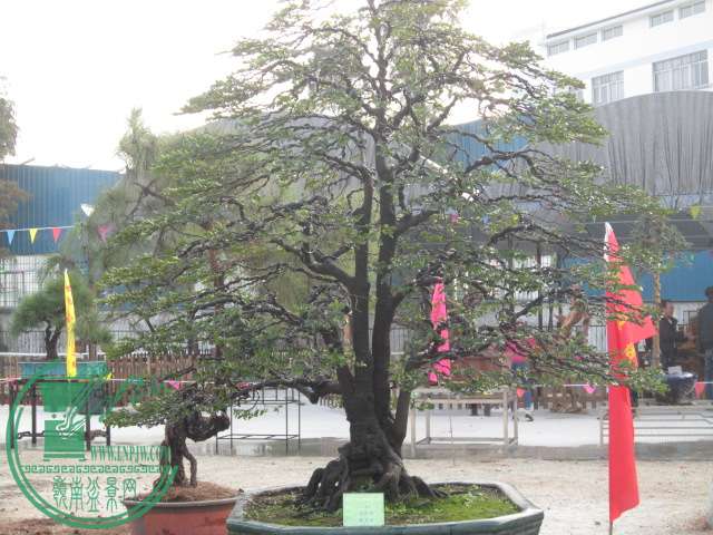  215.jpg
