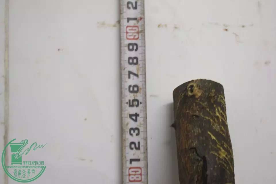 psb (4).jpg