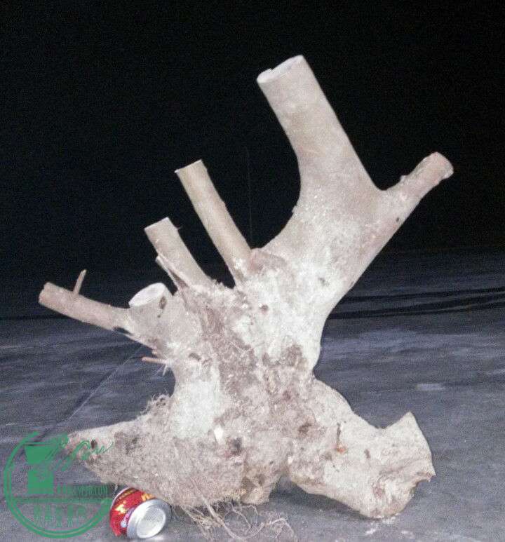726211