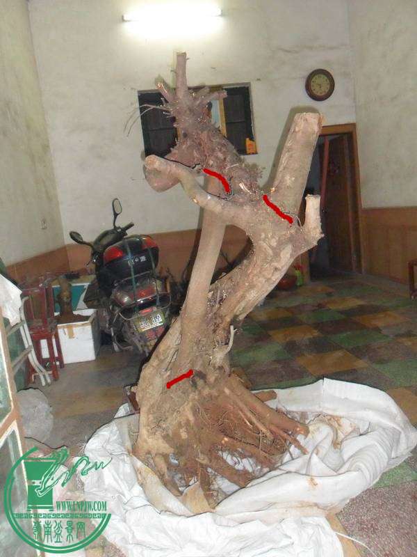 200846hdgyzz8r3y09qqyd.jpg.thumb.jpg