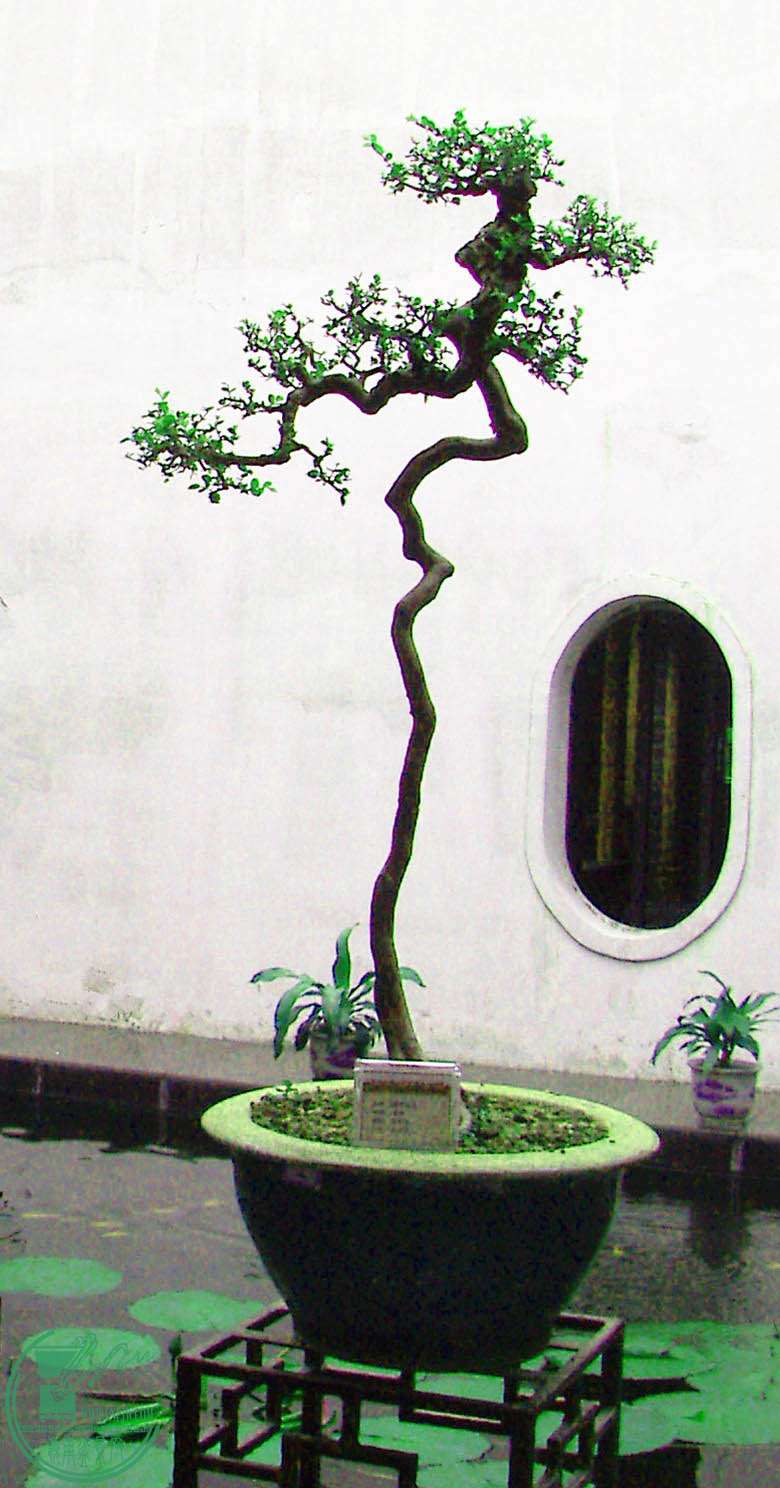 PICT2272.jpg