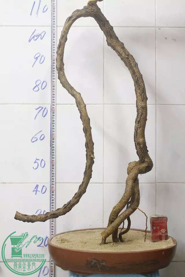 psb (2).jpg
