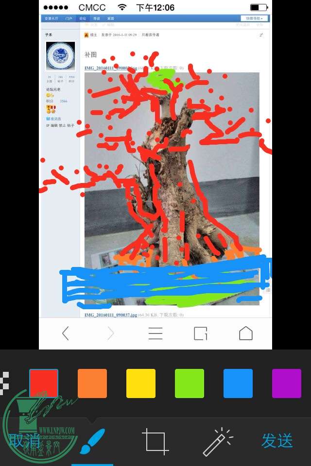 image.jpg