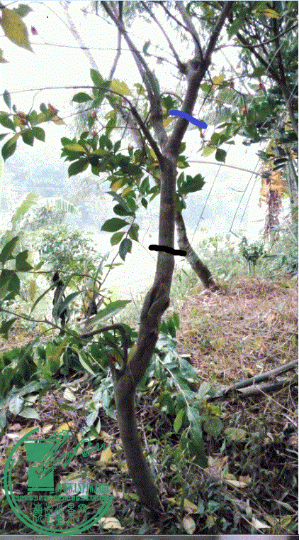 233133p279mnj2nkmnx82q_gif_thumb.gif