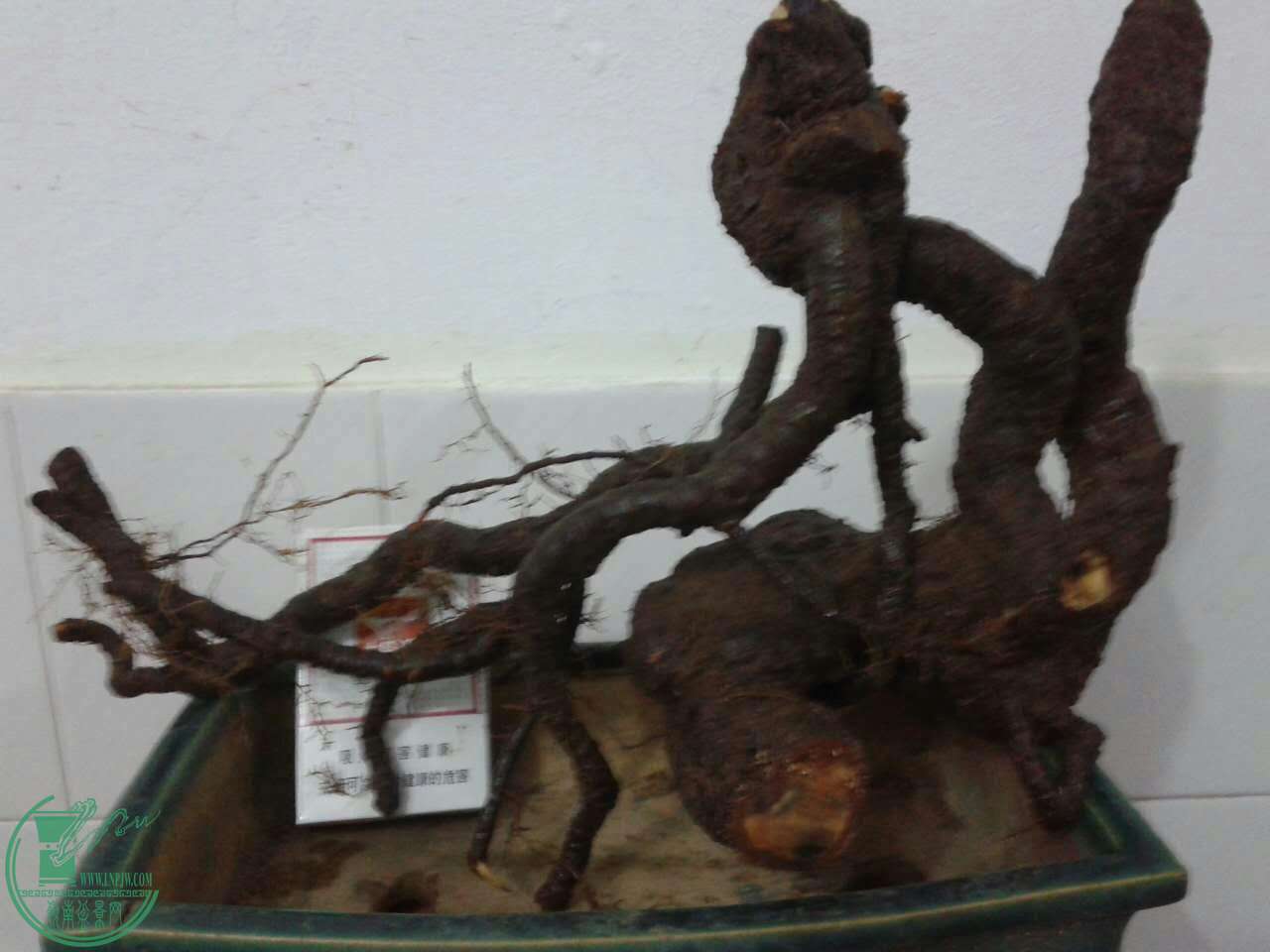 mmexport1452382709845.jpg