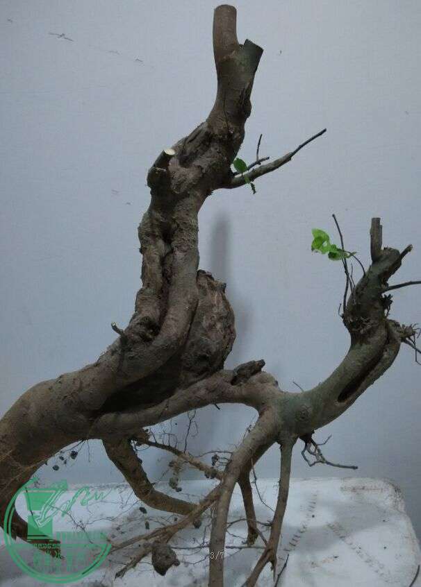 QQͼƬ20160116212015.jpg