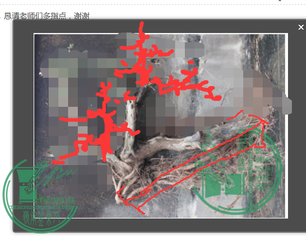 QQͼƬ20160117015308.png