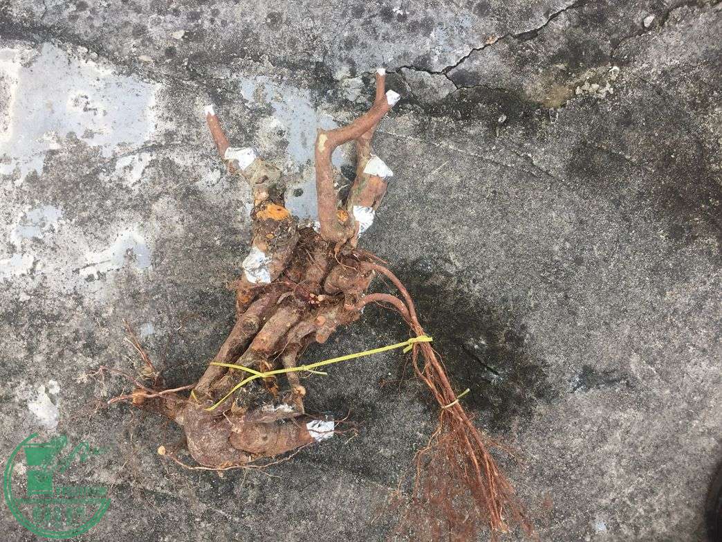 ]