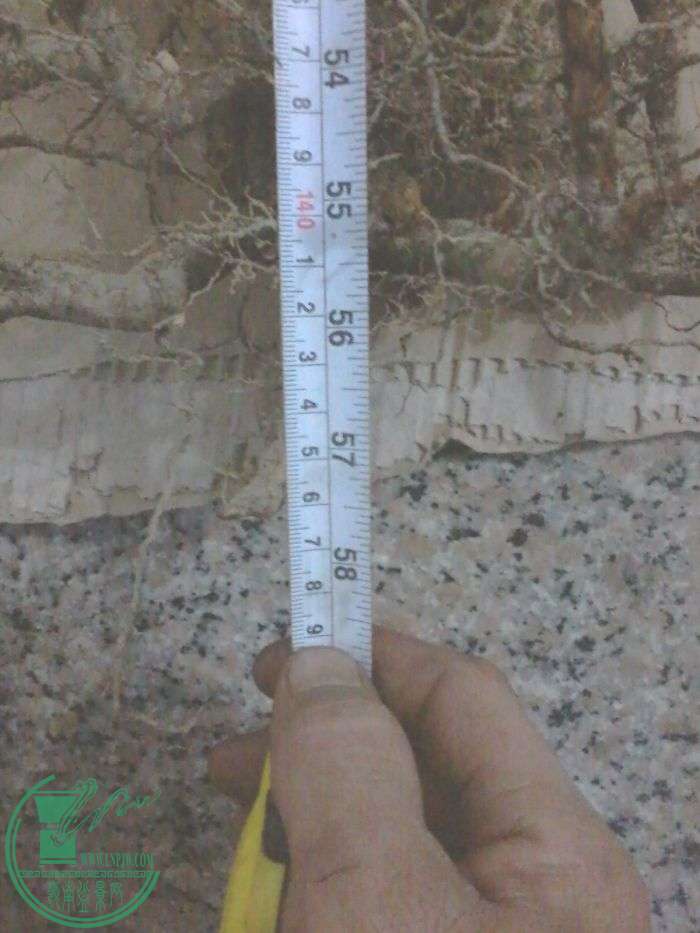 20160119_180723.jpg