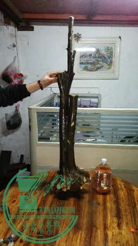 IMG_20160119_224248.jpg
