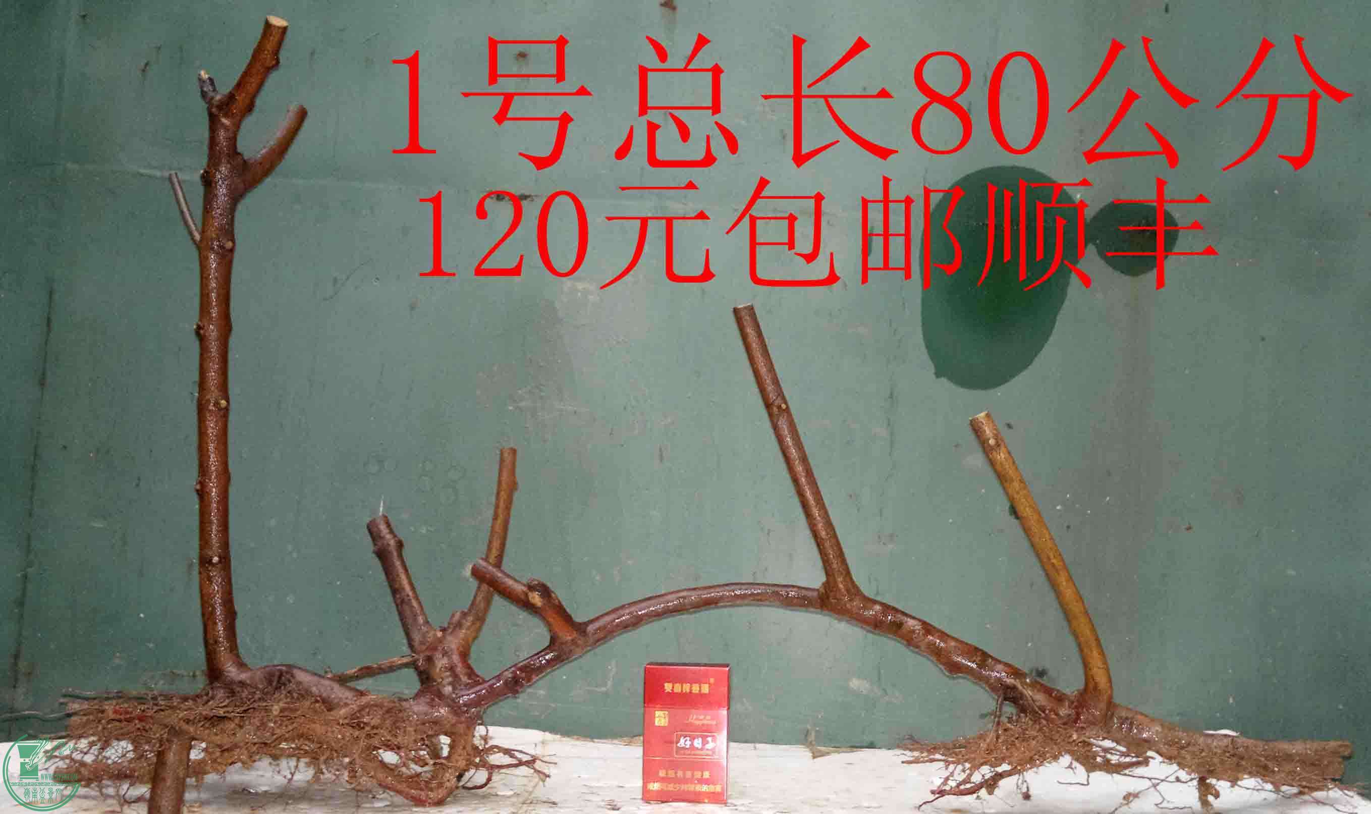201601238627.jpg