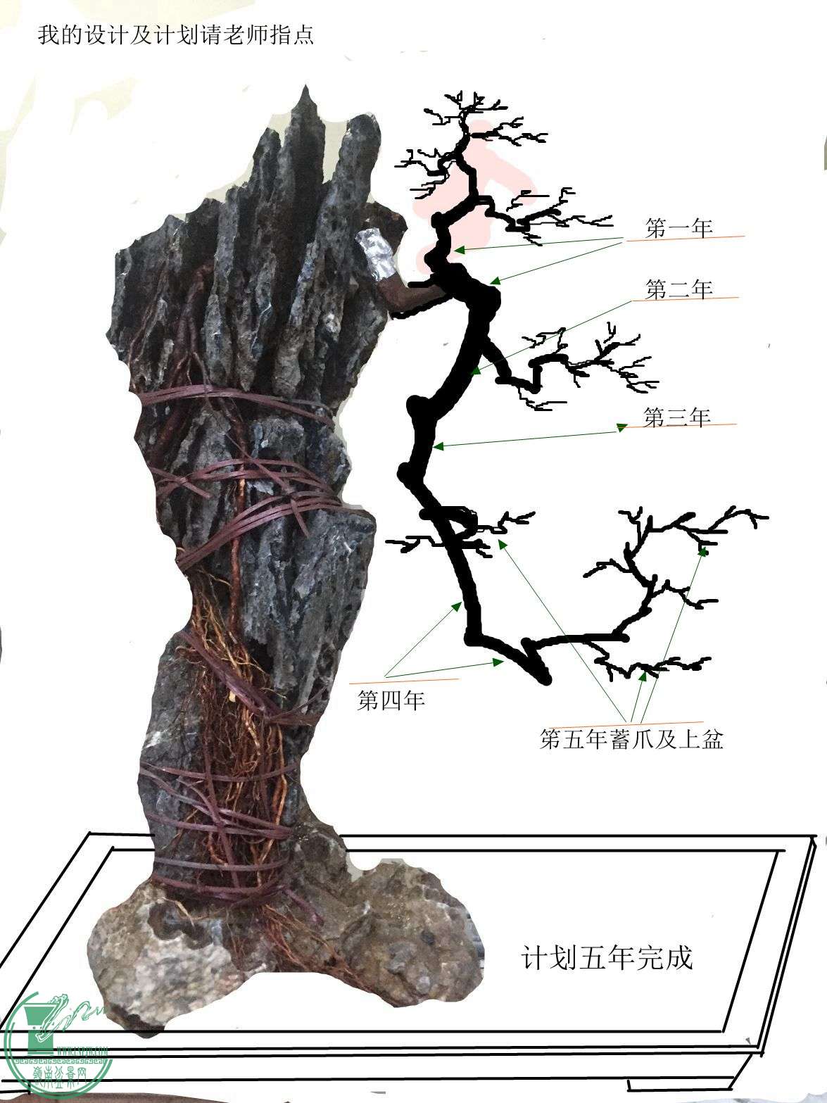 ,Fʵ仯ܶ