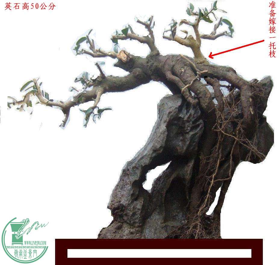 DSCF6837.JPG