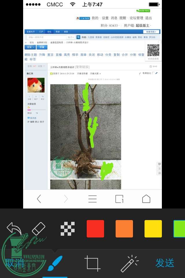 image.jpg