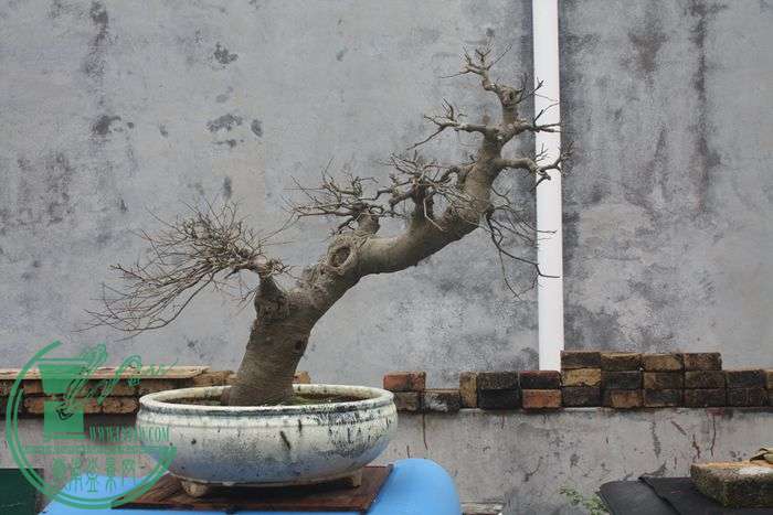 Ƭ20131026ۺ 728.jpg