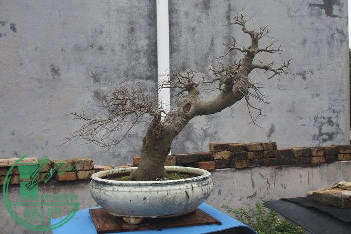 Ƭ20131026ۺ 730.jpg