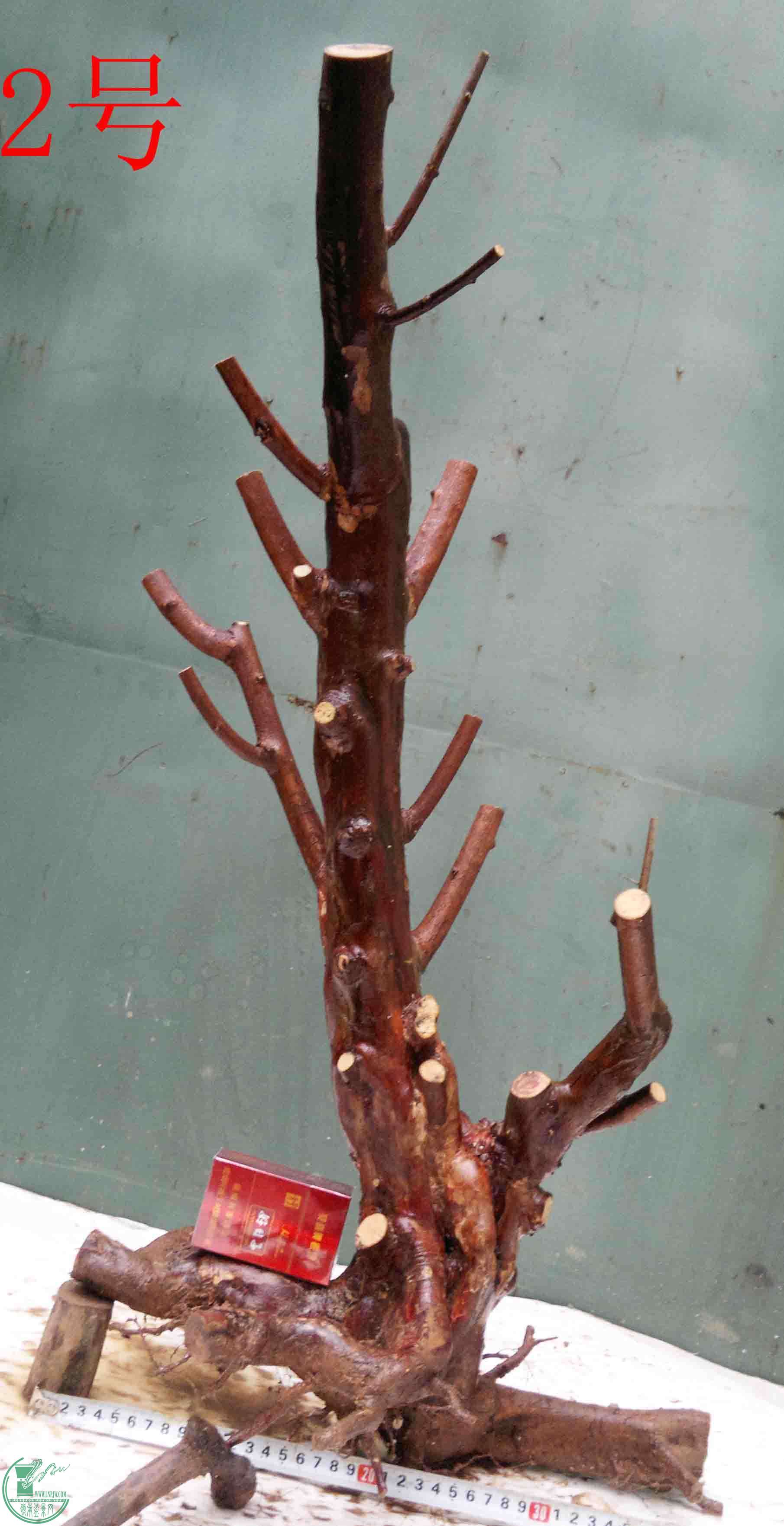 201602029417.jpg