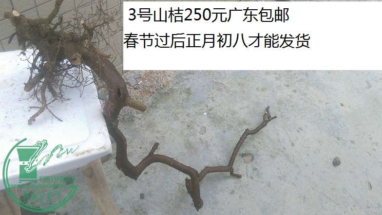 QQͼƬ20160203223058.jpg