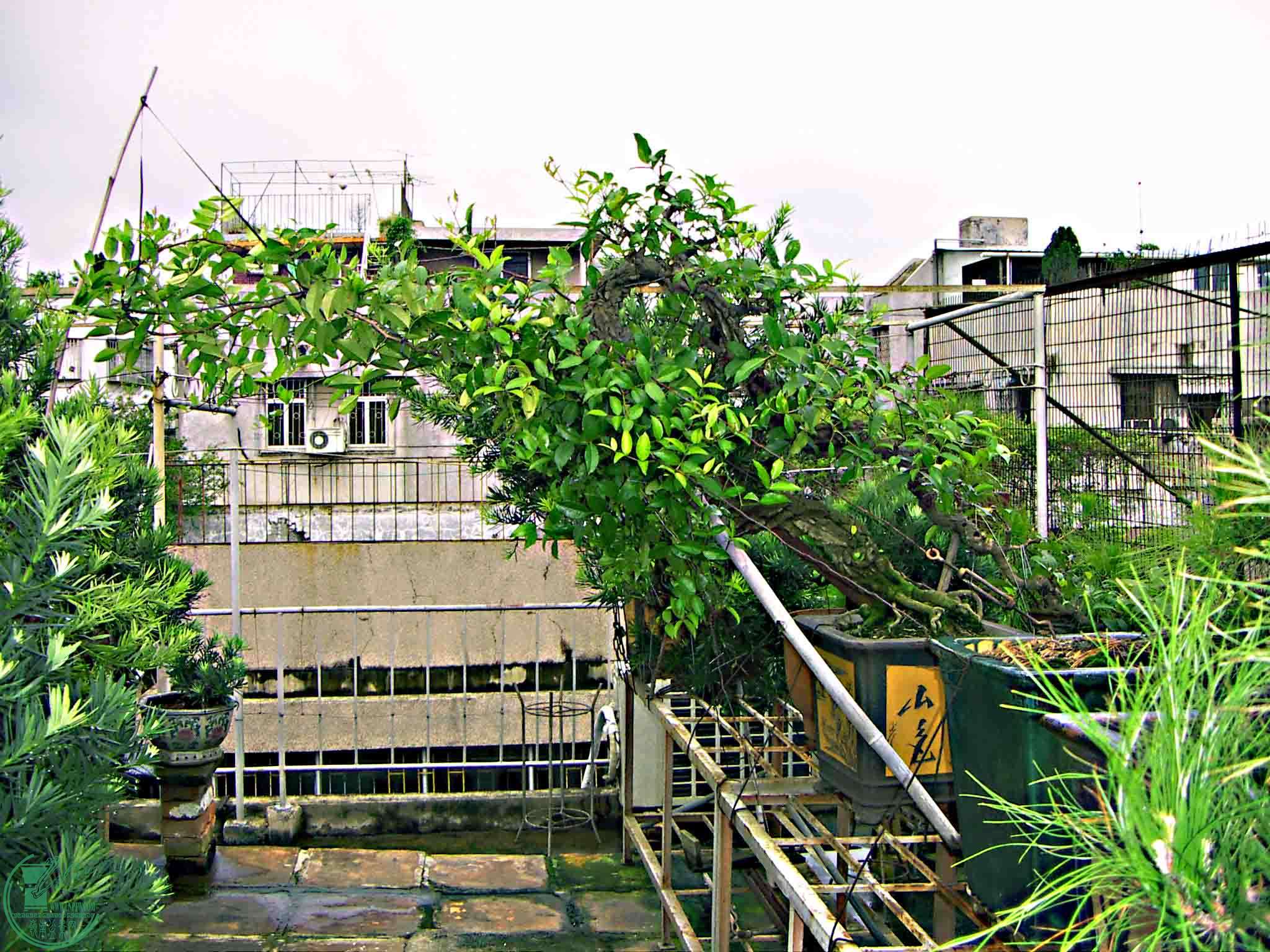 PICT0227.jpg
