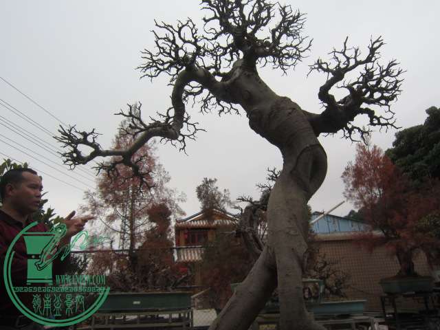 IMG_1970.JPG