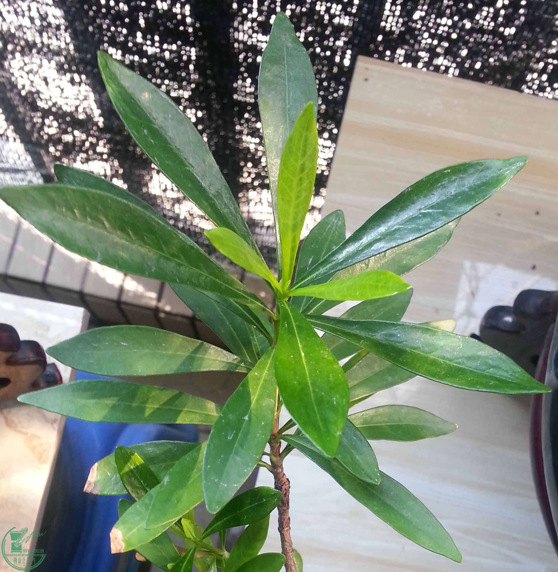 20150924_090518_.jpg