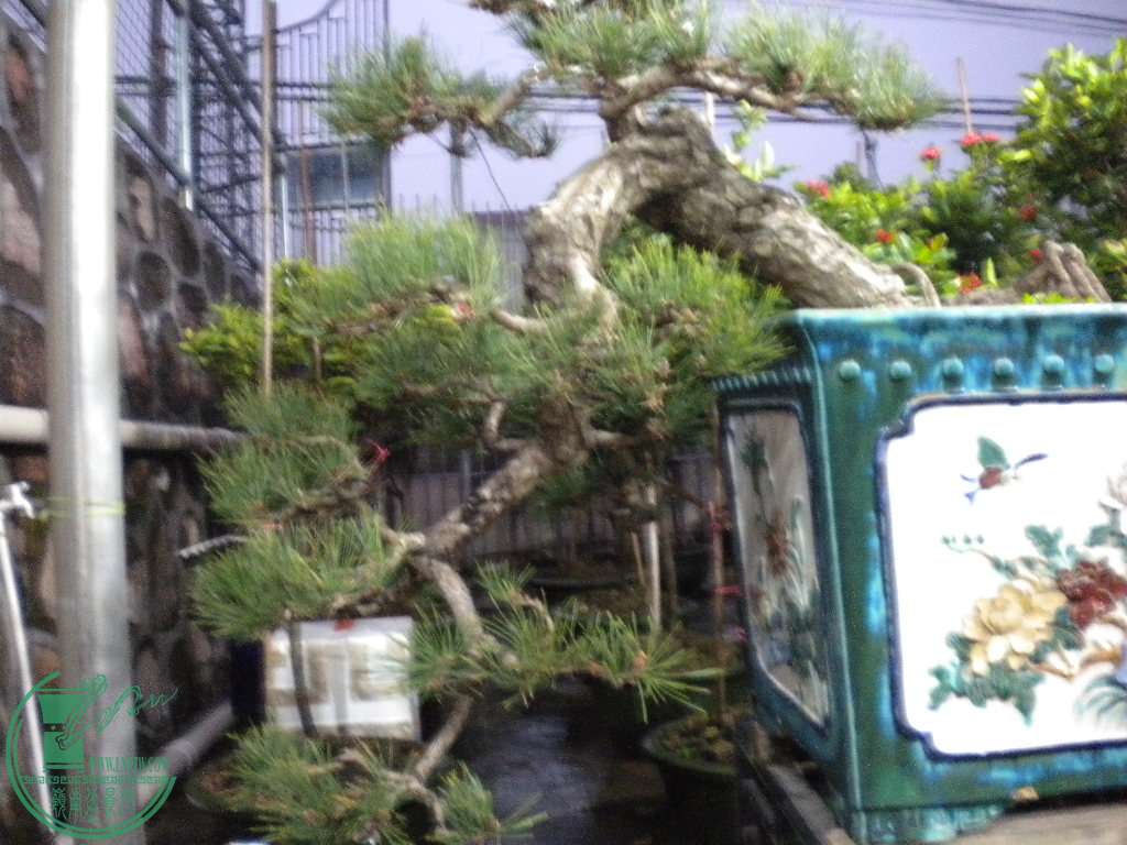 DSCN8669.JPG