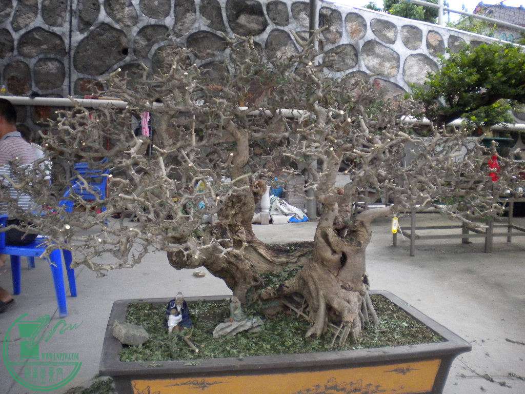 DSCN8397.JPG