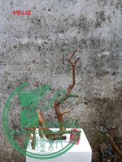 P60213-175456_.jpg