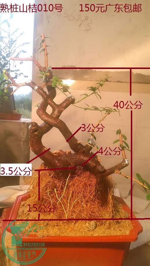 QQͼƬ20160213195528.jpg