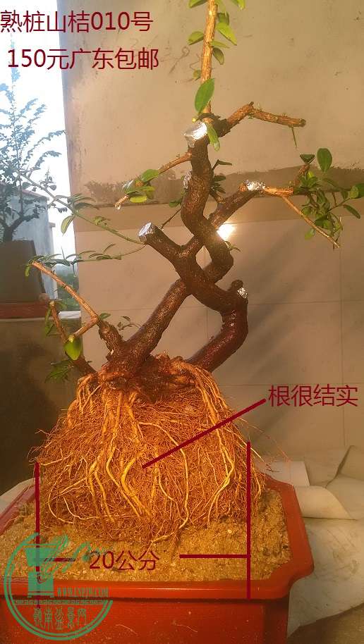 QQͼƬ20160213195540.jpg