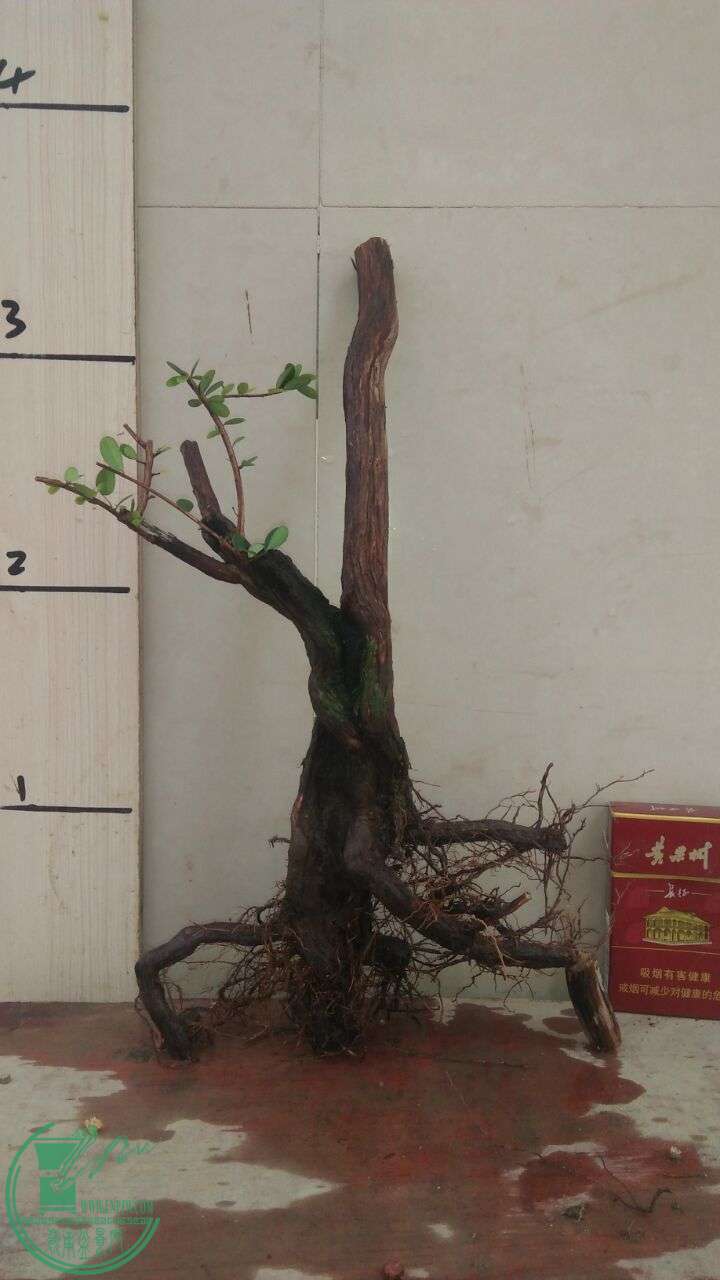 QQͼƬ20160215191713.jpg