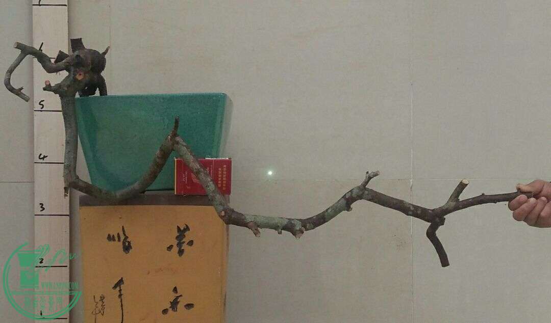 QQͼƬ20160215192756.jpg