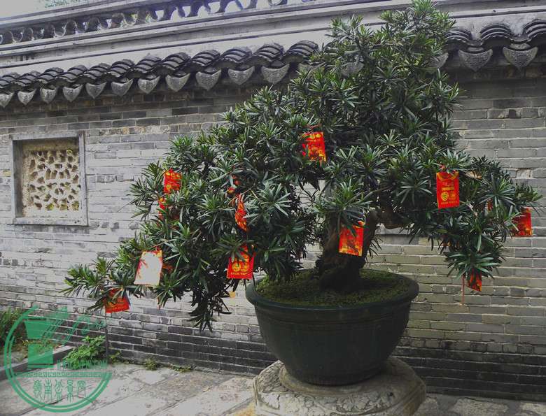 DSCN2873.jpg